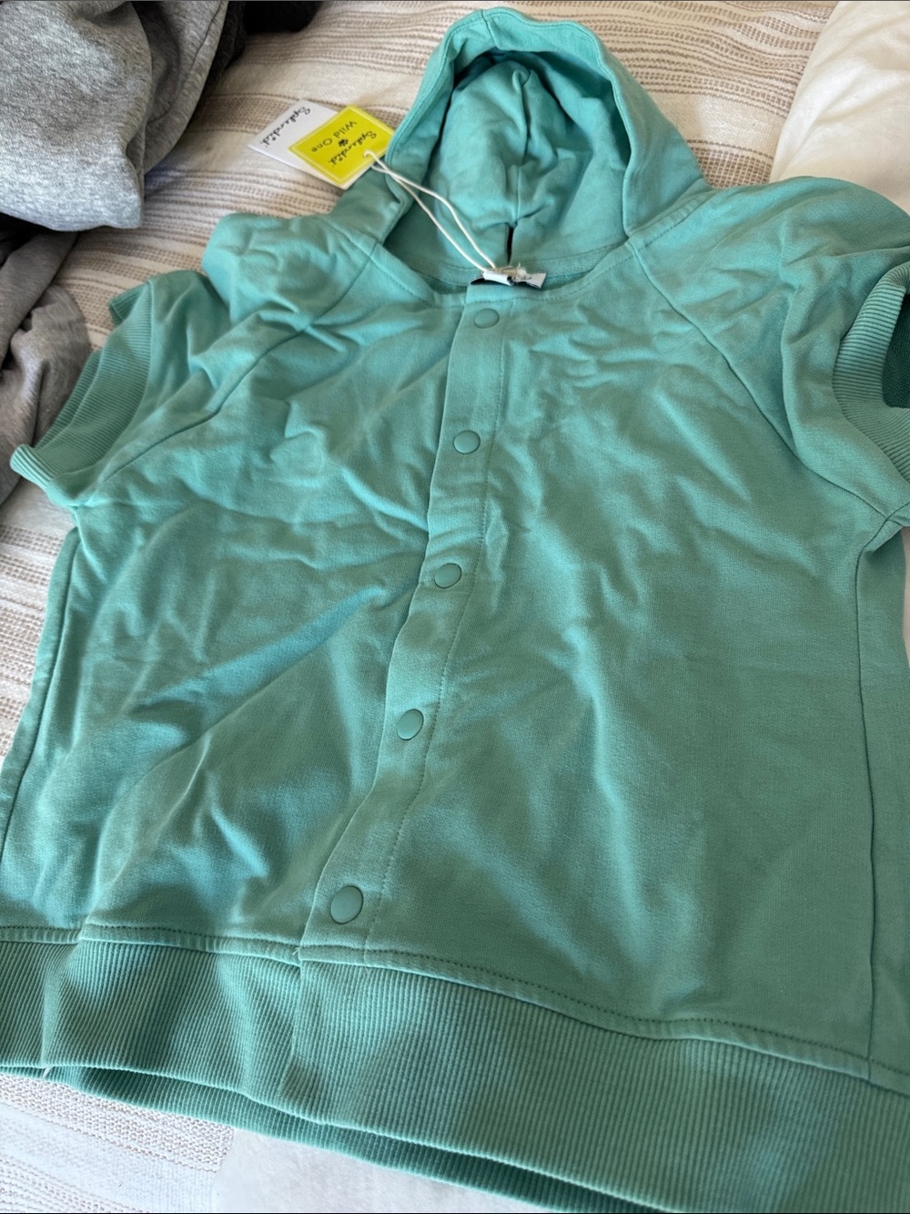 Splendid Aqua/Turquoise Short-Sleeve Snap Hoodie for Dogs